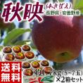 秋映 長野県安曇野産りんご 2箱 計約3.4kg（1箱：約1.7kg 5～7玉） 産地箱入 風袋込み※常温 送料無料
