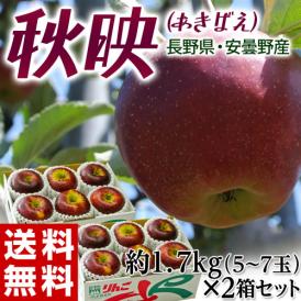 秋映 長野県安曇野産りんご 2箱 計約3.4kg（1箱：約1.7kg 5～7玉） 産地箱入 風袋込み※常温 送料無料