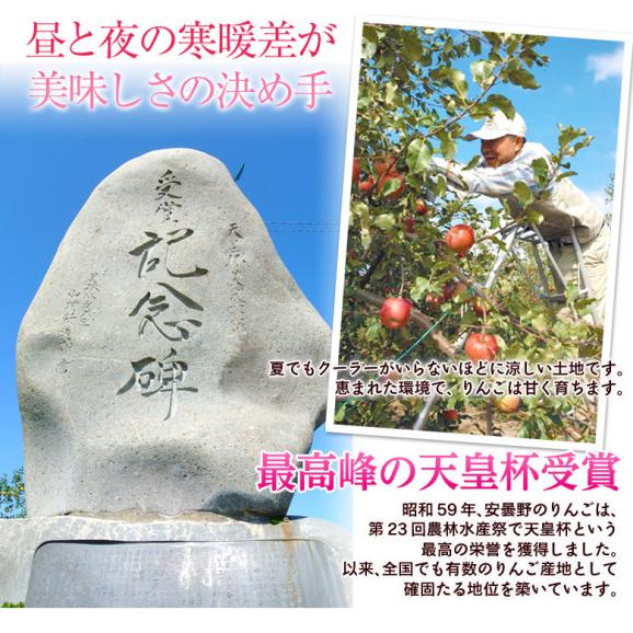 秋映 長野県安曇野産りんご 2箱 計約3.4kg（1箱：約1.7kg 5～7玉） 産地箱入 風袋込み※常温 送料無料03
