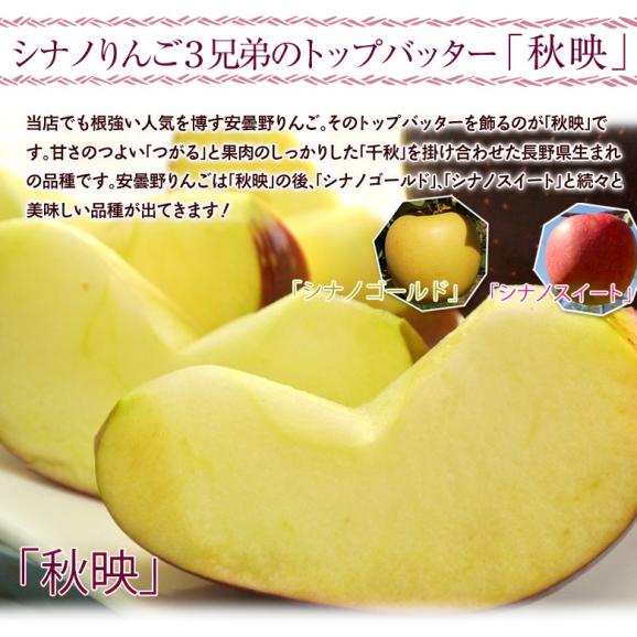 秋映 長野県安曇野産りんご 2箱 計約3.4kg（1箱：約1.7kg 5～7玉） 産地箱入 風袋込み※常温 送料無料04