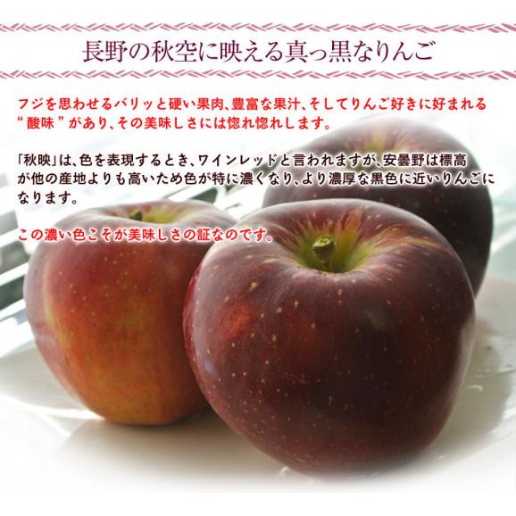 秋映 長野県安曇野産りんご 2箱 計約3.4kg（1箱：約1.7kg 5～7玉） 産地箱入 風袋込み※常温 送料無料05