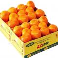 JAありだ ＡＱ共選『手詰め 有田みかん』 ２Ｌサイズ 約３キロ×２箱（計約６kg） 和歌山産 ※常温 送料無料
