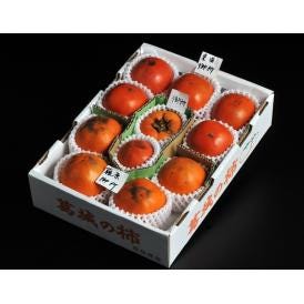 『御所柿3種食べ比べセット』奈良県産 約2kg（目安として9～12玉、本御所＋2種） 産地箱　※常温　送料無料