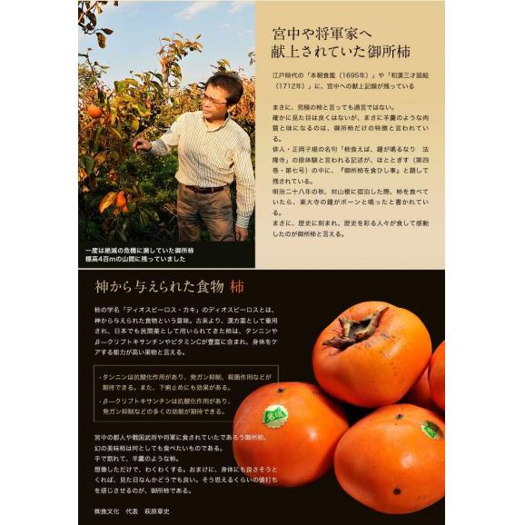 『御所柿3種食べ比べセット』奈良県産 約2kg（目安として9～12玉、本御所＋2種） 産地箱　※常温　送料無料03