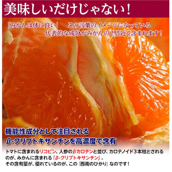 『西南のひかり』 香川県産 柑橘　約5kg 秀～優品 S～2Lサイズ ※常温　送料無料04