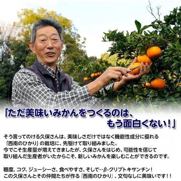 『西南のひかり』 香川県産 柑橘　約5kg 秀～優品 S～2Lサイズ ※常温　送料無料06