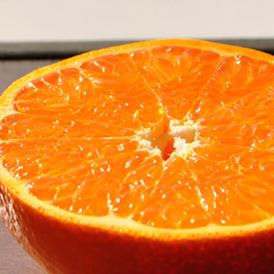 『せとか』佐賀県産 柑橘 M～Lサイズ 約2.5kg（12～18玉）化粧箱 ※常温 送料無料