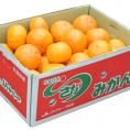 津之輝 （つのかがやき） 佐賀県産 JAからつ 2S〜2L 約5kg 簡易箱 ※常温　送料無料　みかん　柑橘