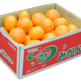 JAからつ『津之輝（つのかがやき）』 佐賀県産 柑橘 2S～2Lサイズ 風袋込 約5kg 産地箱入 ※常温※送料無料