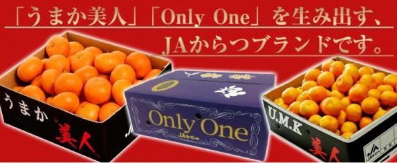 先行予約】訳あり 数量限定 津之輝 つのかがやき 約10kg (約5kg