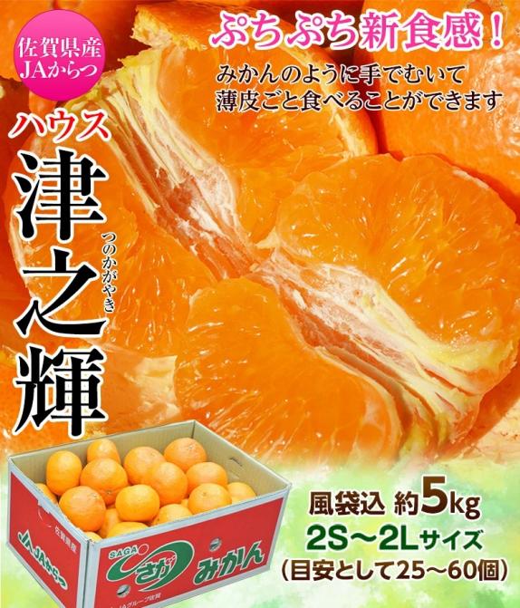 世界的に有名な 希少柑橘‼️高糖度柑橘‼️和歌山県產 津之輝
