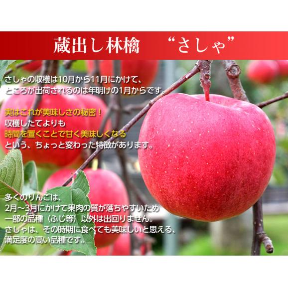 青森県産 希少な林檎「さしゃ」 約3kg　（6～10玉） 特A品 ※常温 送料無料04