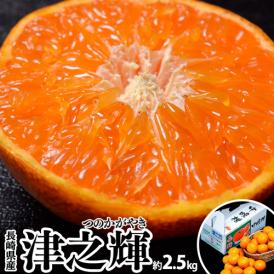 JA長崎せいひ『津之輝（つのかがやき）』長崎県産柑橘 2S～L 約2.5kg 産地箱 風袋込 ※常温　送料無料