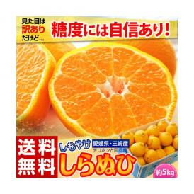 訳あり 不知火  しらぬひ  JAにしうわ三崎共選 愛媛県産 M～4Lサイズ 風袋込 約5kg 産地箱 ※常温　送料無料