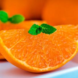 オレンジ色に輝く柑橘の宝石！