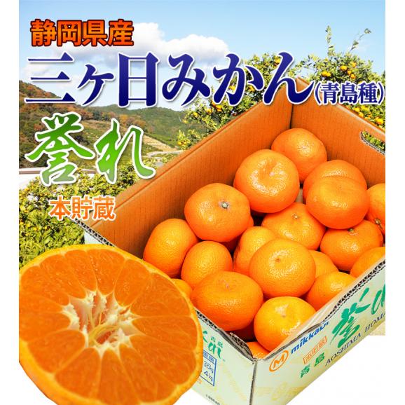 静岡県産 三ヶ日みかん「誉れ」青島種 　優品以上 2～3Lサイズ　約3.5kg　産地箱入　※常温　JAみっかび　送料無料02