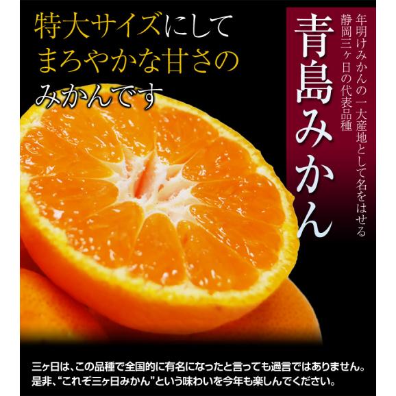 静岡県産 三ヶ日みかん「誉れ」青島種 　優品以上 2～3Lサイズ　約3.5kg　産地箱入　※常温　JAみっかび　送料無料03