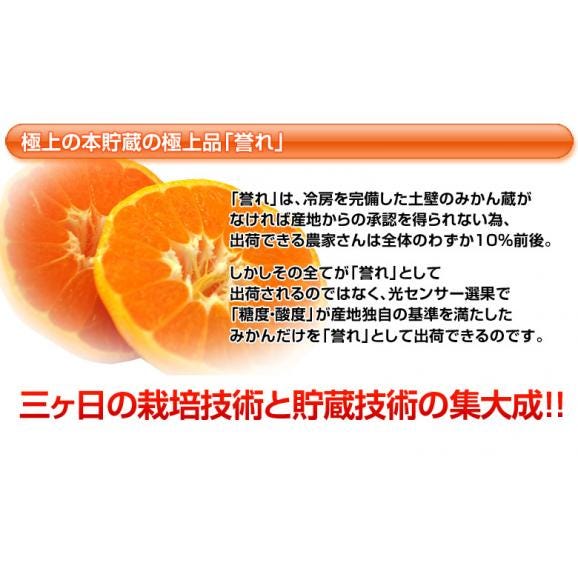 静岡県産 三ヶ日みかん「誉れ」青島種 　優品以上 2～3Lサイズ　約3.5kg　産地箱入　※常温　JAみっかび　送料無料05