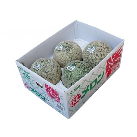 青肉メロン 茨城県産 優品~秀品 約5kg (3~5玉) 産地箱 ※常温02