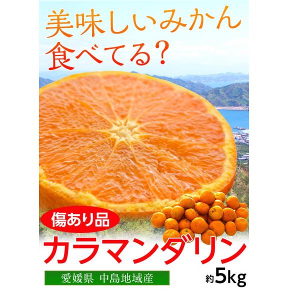 愛媛 中島産 カラマンダリン 10キロ箱 - メルカリ
