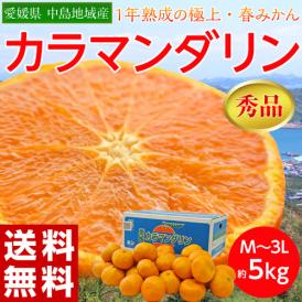 一年熟成の極上みかん