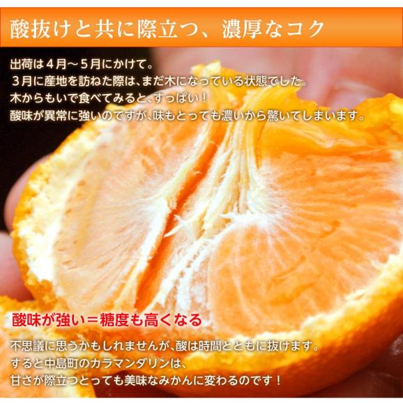 愛媛県 中島地域産 カラマンダリン 秀品 M〜2Ｌ 風袋込 約5kg 目安として35〜50玉 産地箱 ※常温 送料無料03
