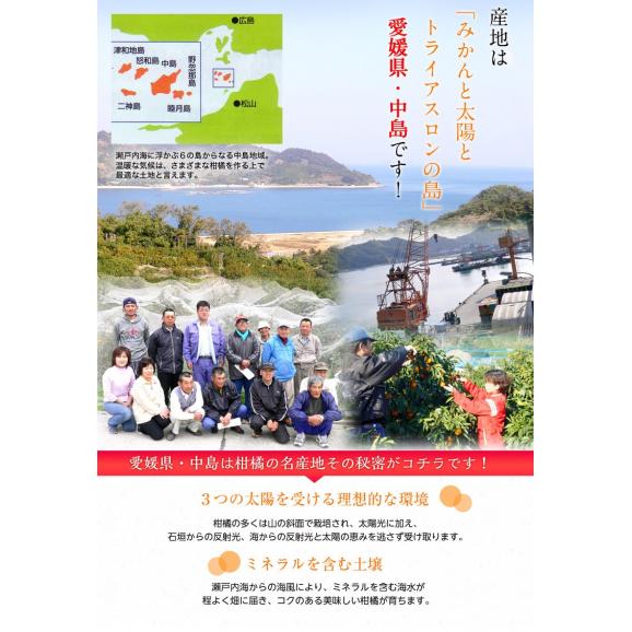 愛媛県 中島地域産 カラマンダリン 秀品 M〜2Ｌ 風袋込 約5kg 目安として35〜50玉 産地箱 ※常温 送料無料05