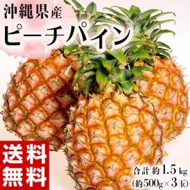 「ピーチパイン」沖縄県産パイナップル 約500g×3玉　計約1.5kg　※常温　 送料無料