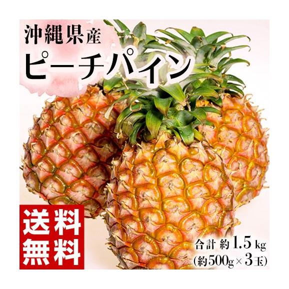 ピーチパイン 沖縄県産パイナップル 約500g×3玉　計約1.5kg　※冷蔵　 送料無料 パイン01