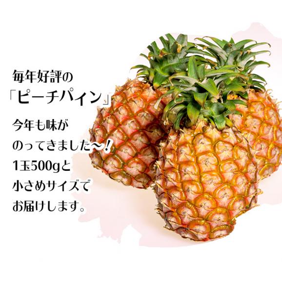 ピーチパイン 沖縄県産パイナップル 約500g×3玉　計約1.5kg　※冷蔵　 送料無料 パイン02