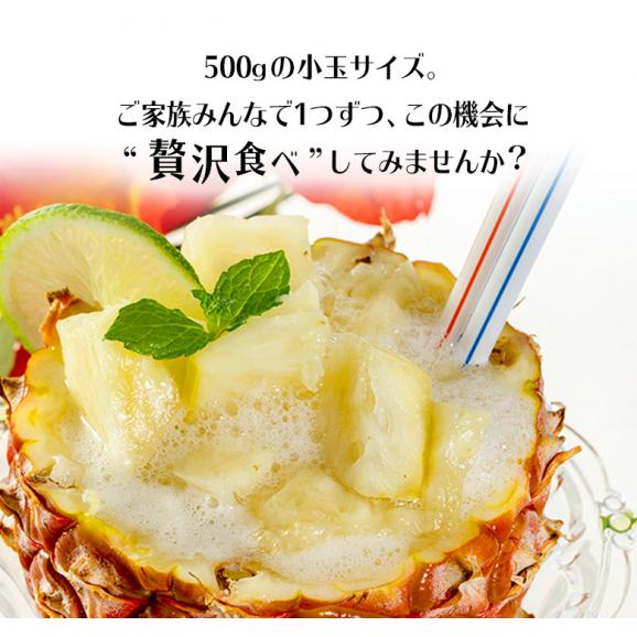 「ピーチパイン」沖縄県産パイナップル 約500g×3玉　計約1.5kg　※常温　 送料無料05