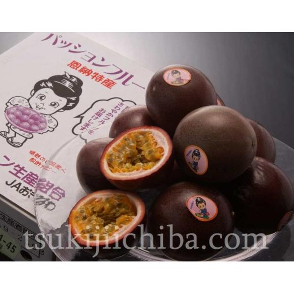 ポイント2倍) パッションフルーツ 沖縄産 家庭用 900g 9〜12玉