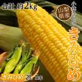 小林さんの『きみひめ』山梨県産トウモロコシ約2kg（5本）※冷蔵　 送料無料