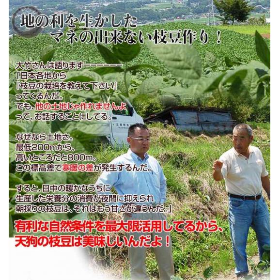 天狗印の枝豆 味緑(みりょく) 群馬県産 約1kg(約250g×4袋) 簡易箱 ※冷蔵 送料無料04