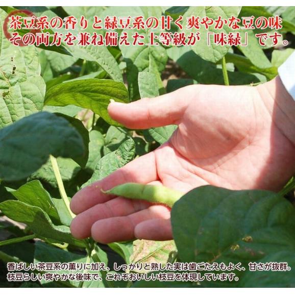 天狗印の枝豆 味緑(みりょく) 群馬県産 約1kg(約250g×4袋) 簡易箱 ※冷蔵 送料無料05