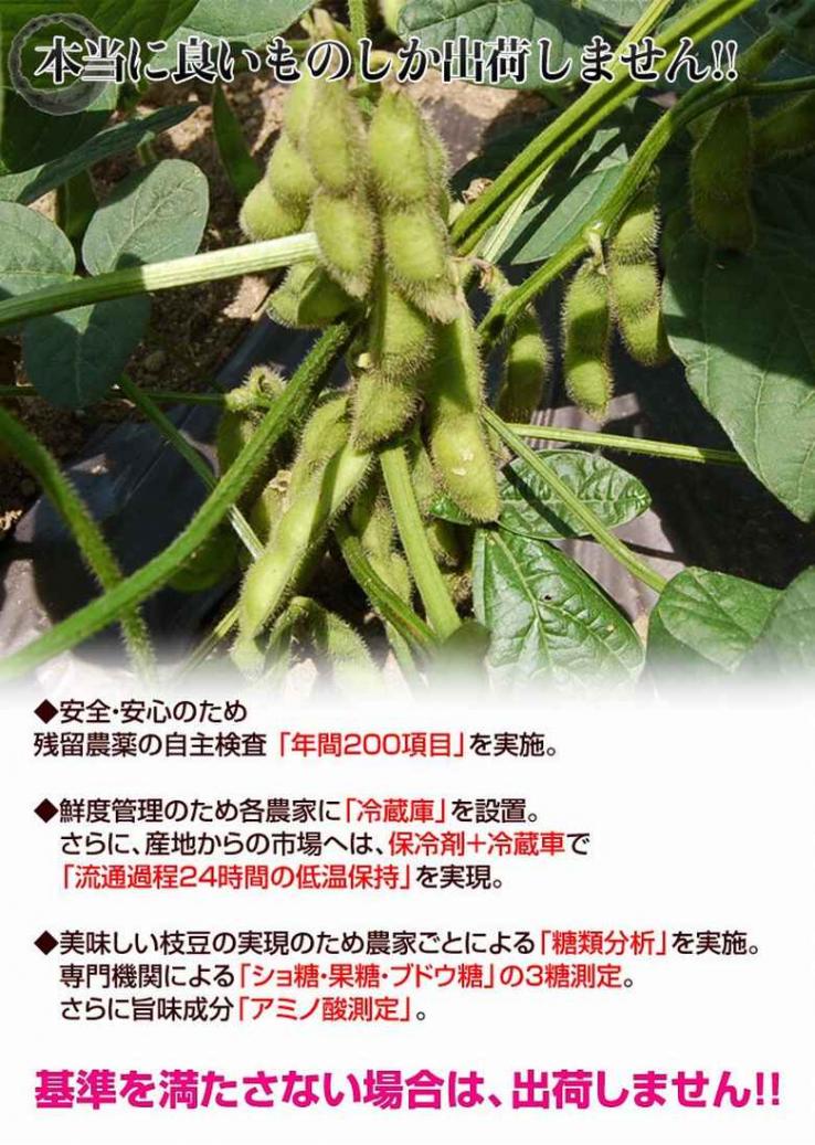天狗印の枝豆 味緑(みりょく) 群馬県産 約1kg(約250g×4袋) 簡易箱 ※冷蔵 送料無料_説明画像01