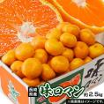 【糖度12度選別】 極甘みかん 『味ロマン』 JA長崎せいひ 約2.5kg 外皮に傷あり (2S～Mサイズ） ※常温　送料無料