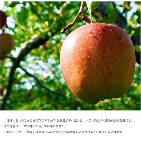 JAつがる弘前『サン北斗』青森県産りんご 約3kg（8〜12玉）産地箱入 ※常温 送料無料02