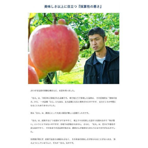 ネットオフ 送料得店  JAつがる弘前『サン北斗』青森県産りんご 約3kg（8〜12玉）産地 果物