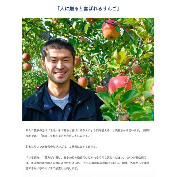  JAつがる弘前『サン北斗』青森県産りんご 約3kg（8〜12玉）産地箱入 ※常温 送料無料05