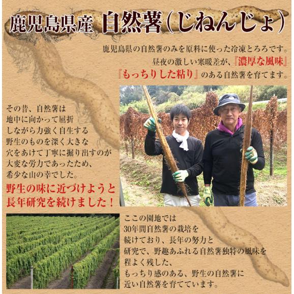 自然薯 とろろ 鹿児島県産 40g×10パック セット じねんじょ 山芋 国産 小分け パック 簡単 とろろご飯 とろろそば 蕎麦 冷凍 同梱可能04