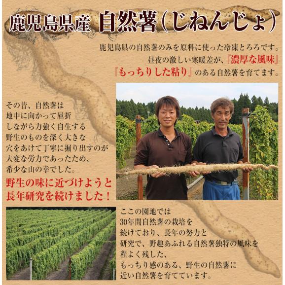 自然薯 とろろ 鹿児島県産 40g×10パック セット じねんじょ 山芋 国産 小分け パック 簡単 とろろご飯 とろろそば 蕎麦 冷凍 同梱可能04