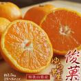 橋爪流栽培みかん 俊菓(しゅんか) ゆら早生 和歌山県産 2S～Sサイズ 約2.5キロ 常温 送料無料　みかん 蜜柑 ミカン