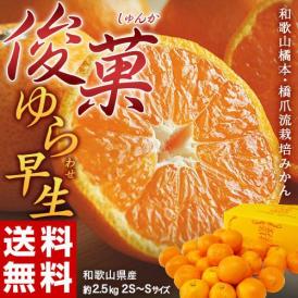 橋爪流栽培みかん 俊菓(しゅんか) ゆら早生 和歌山県産 2S～Sサイズ 約2.5キロ ※常温 送料無料　