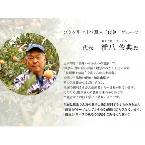 橋爪流栽培みかん 俊菓(しゅんか) ゆら早生 和歌山県産 2S～Sサイズ 約2.5キロ ※常温 送料無料　02