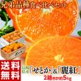 せとか＆麗紅 食べ比べセット 長崎県産 計約5kg（各約2.5kg×2箱）※常温 柑橘 送料無料