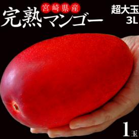 みやざき完熟マンゴー　宮崎県産 　大玉　3Lサイズ　(450～509g) ×1玉 ※常温 マンゴー