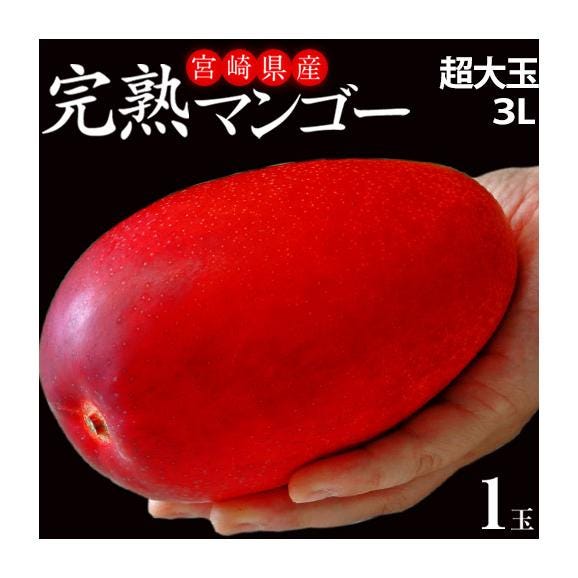 みやざき完熟マンゴー　宮崎県産 　大玉　3Lサイズ　(450～509g) ×1玉 ※常温 マンゴー01