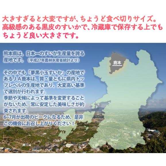 《送料無料》 熊本県産「夢黒小玉すいか」４L×1玉　1箱　秀品　約3kg frt ○04