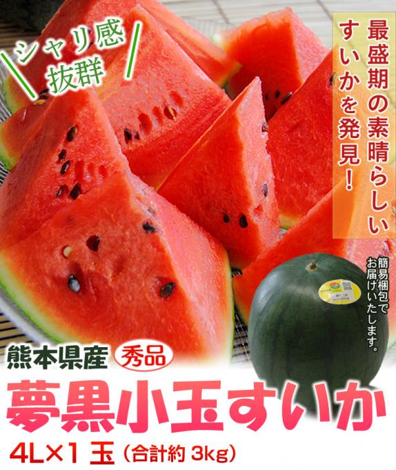 送料無料》 熊本県産「夢黒小玉すいか」4L×1玉 1箱 秀品 約3kg